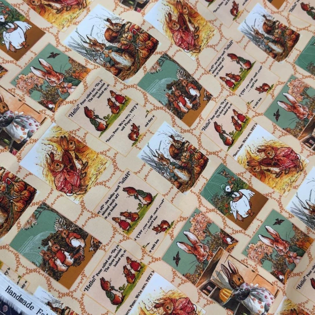 棉镇店之宝纯棉双层府绸1米价X1.4米宽D