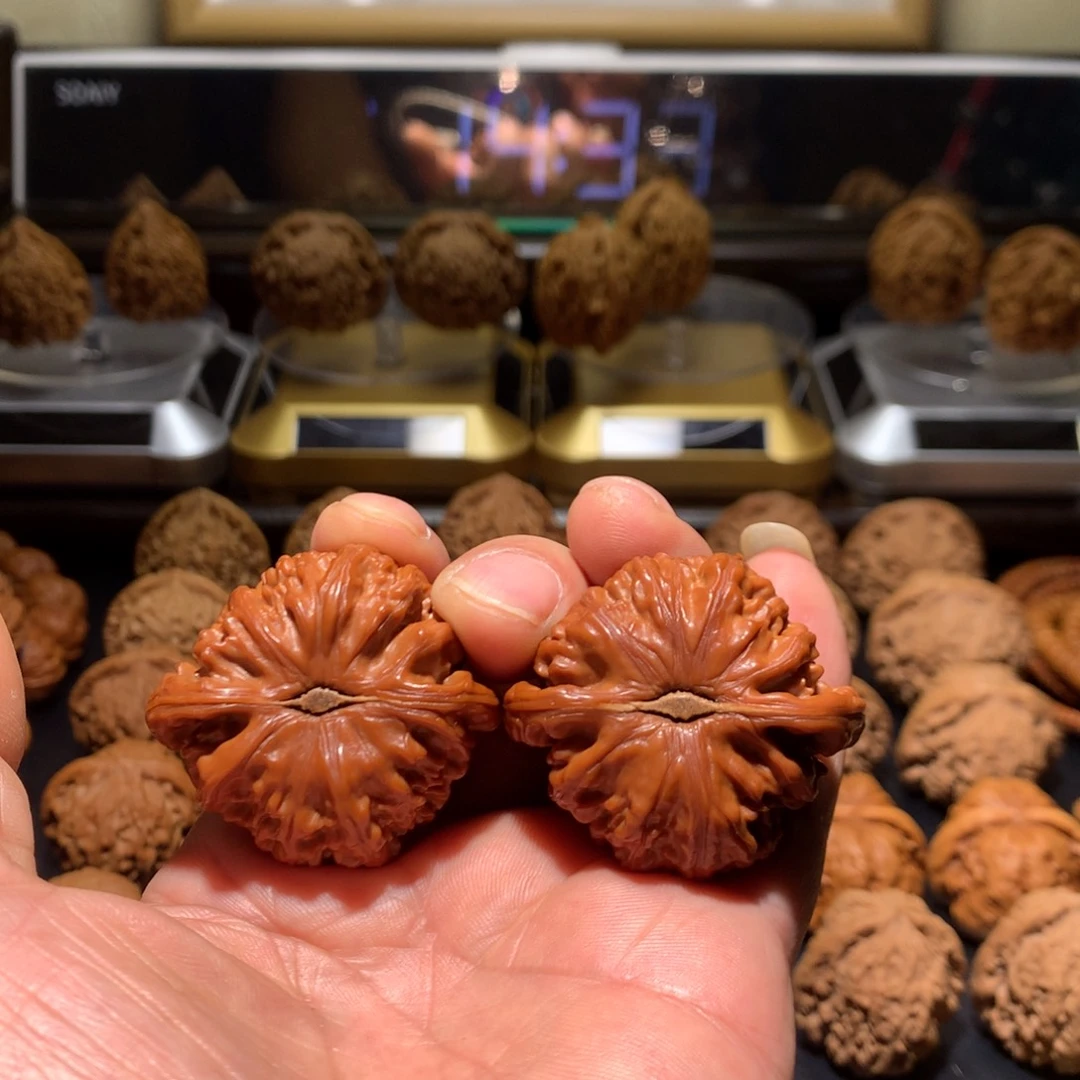 文玩核桃全品44白狮子