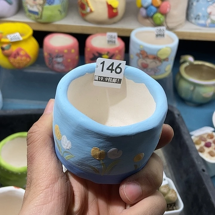 146大舅生石花肉锥多肉