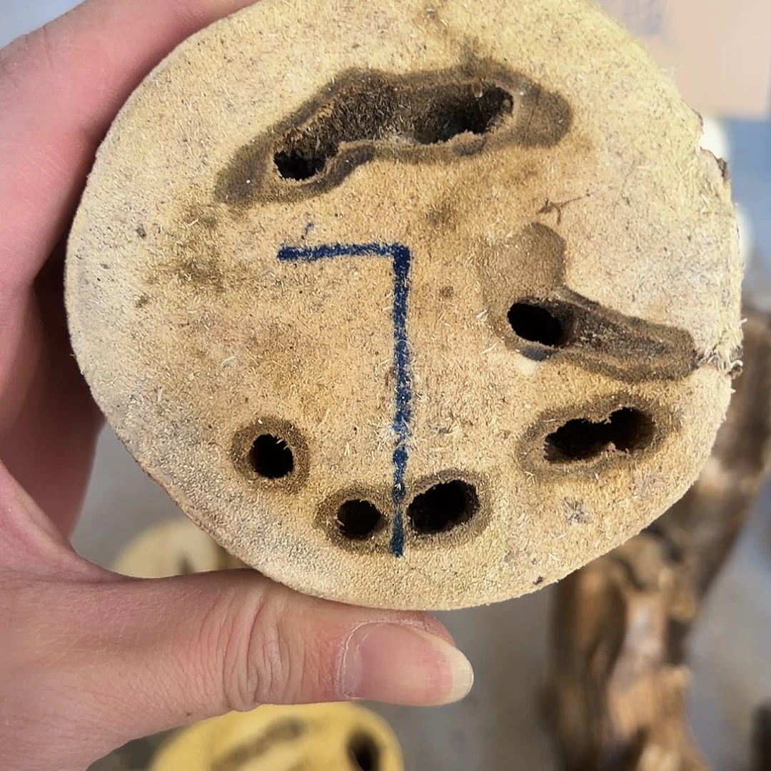 摆件沉香天然虫漏原木 长度9cm