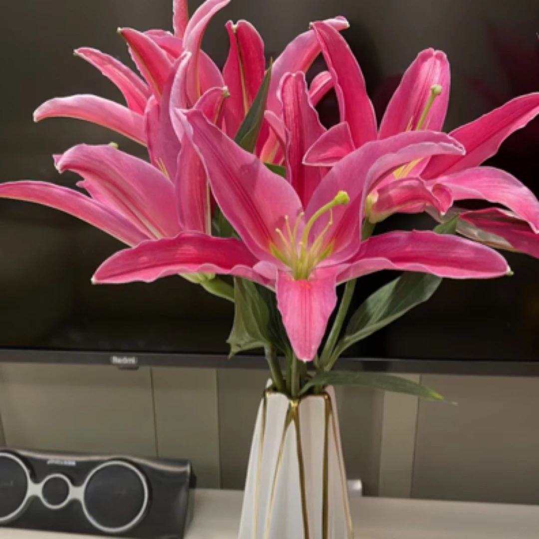 西诺红百合 3支 任意两单京东包邮 今天拍明天到 赠量杯一个