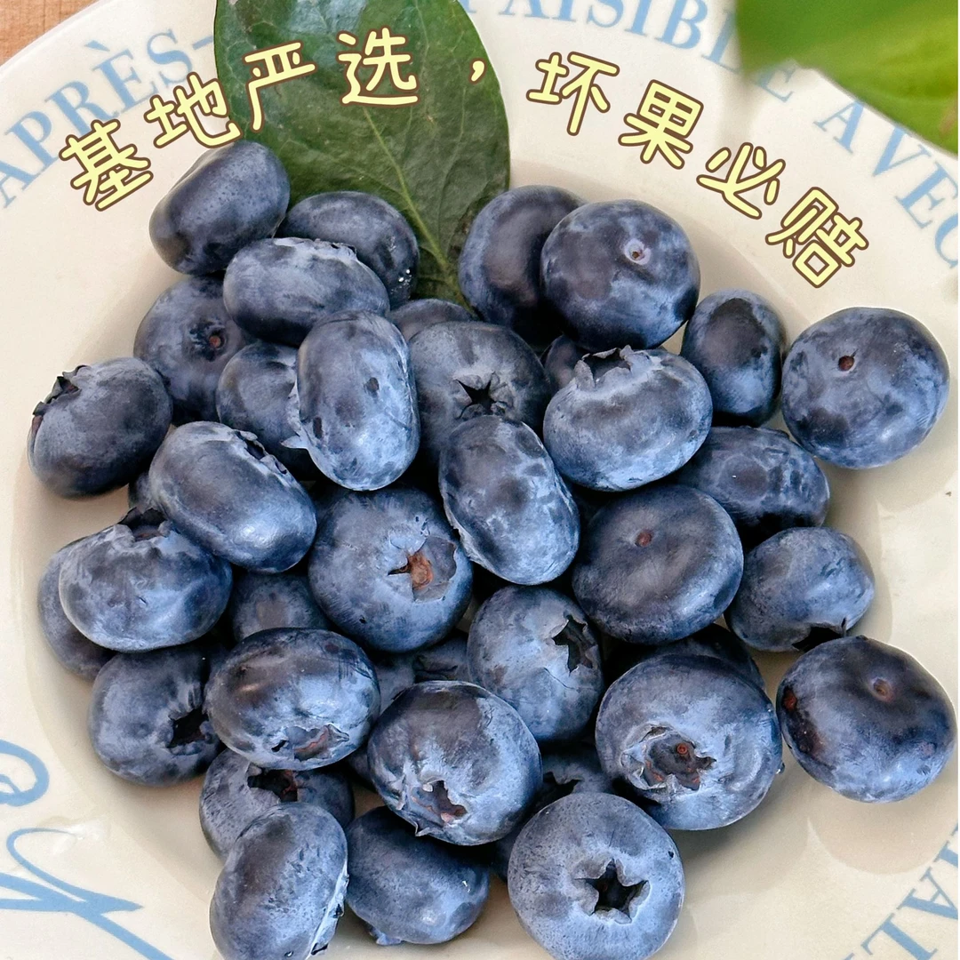 FH【产地直发】蓝莓现摘蓝莓鲜果农家自种蓝莓大果孕妇水果