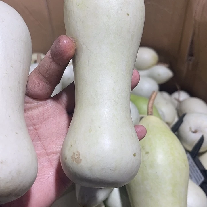 大果紫檀（缅甸花梨）大*