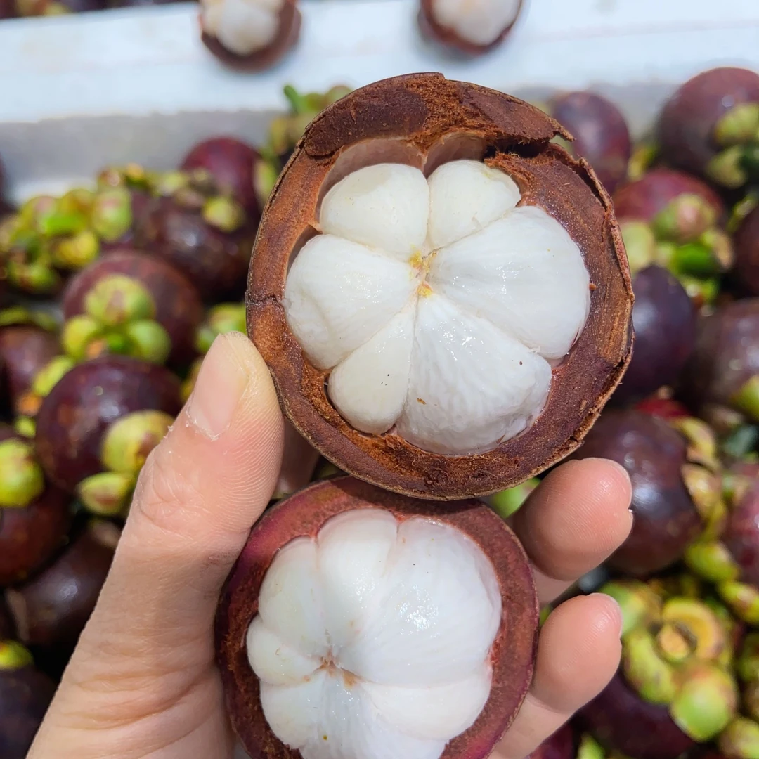 下火神器6A山竹1公斤