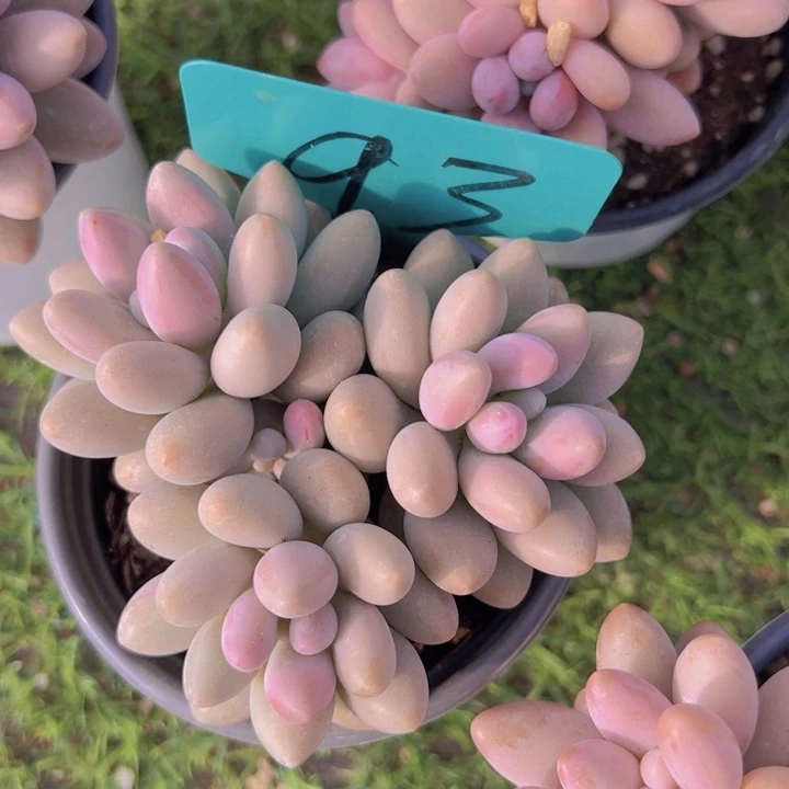 健健康康平平安安