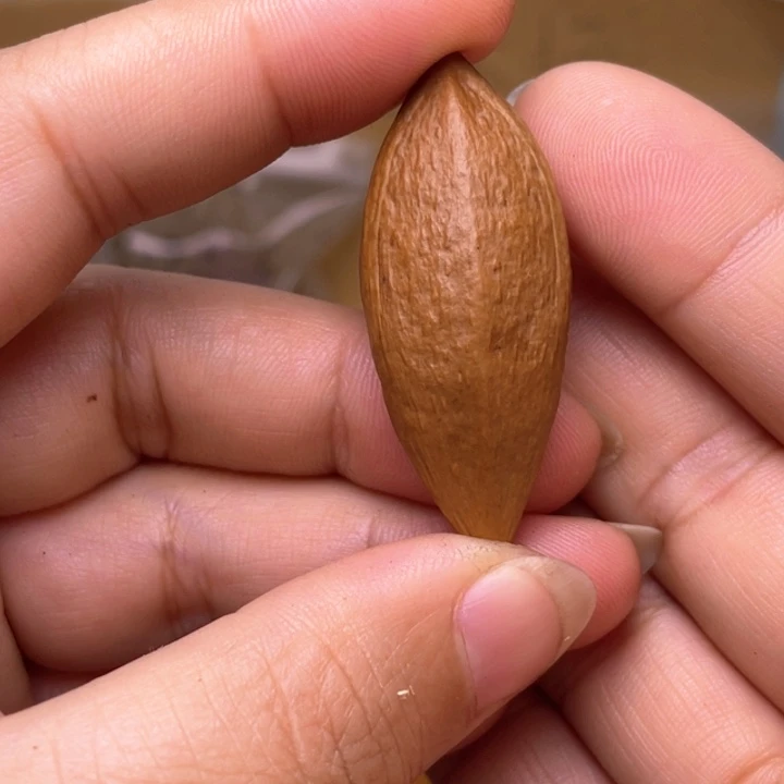 橄榄核手串/手链橄榄核两花