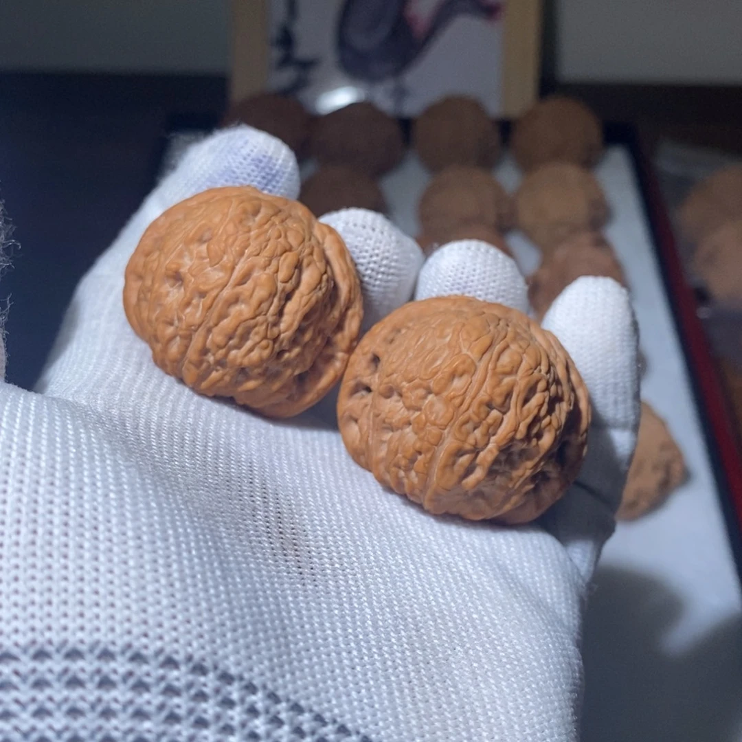 39尺25赛季货头绣球