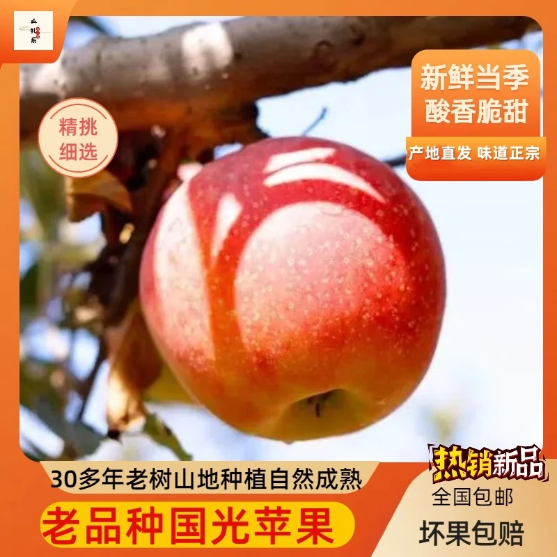 小国光苹果正宗国光苹果老国光山东五莲老树自然熟酸甜口皮薄肉脆