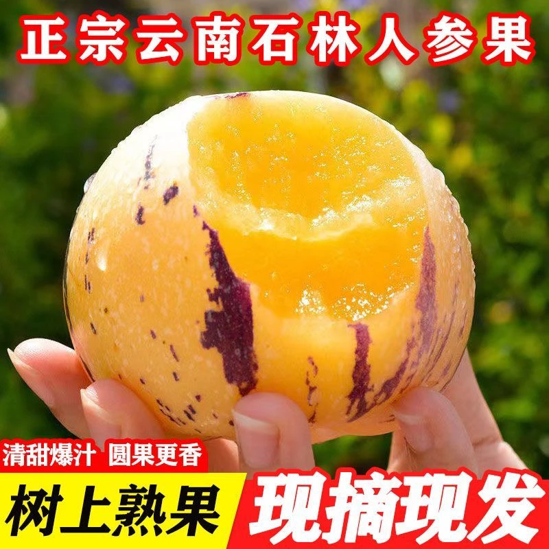 【新鲜采摘】人参果自然成熟新鲜应季低糖孕妇果皮薄肉厚香味十足汁