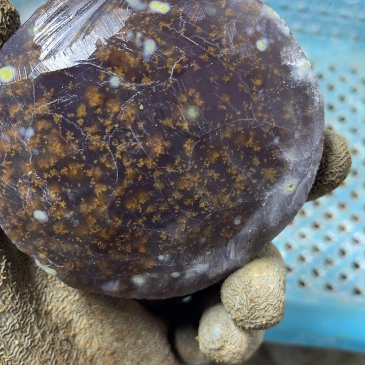 好***k定制玛瑙玛瑙手镯