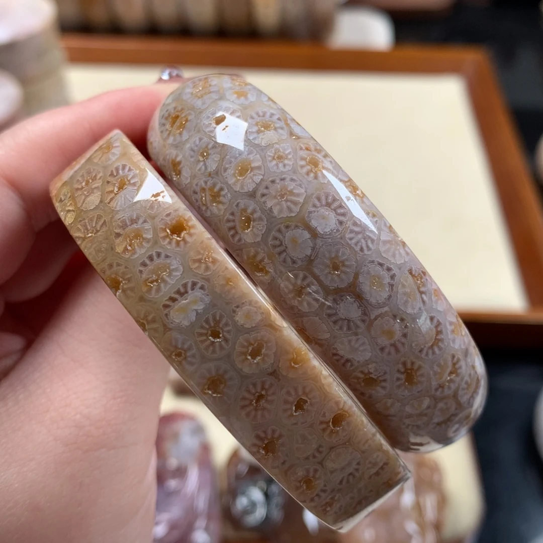 硅化珊瑚（珊瑚玉）玻璃花手镯五折 漏未镶嵌