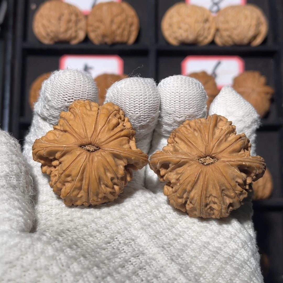 C***.文玩核桃吊坠08秦皇岛山地果全品