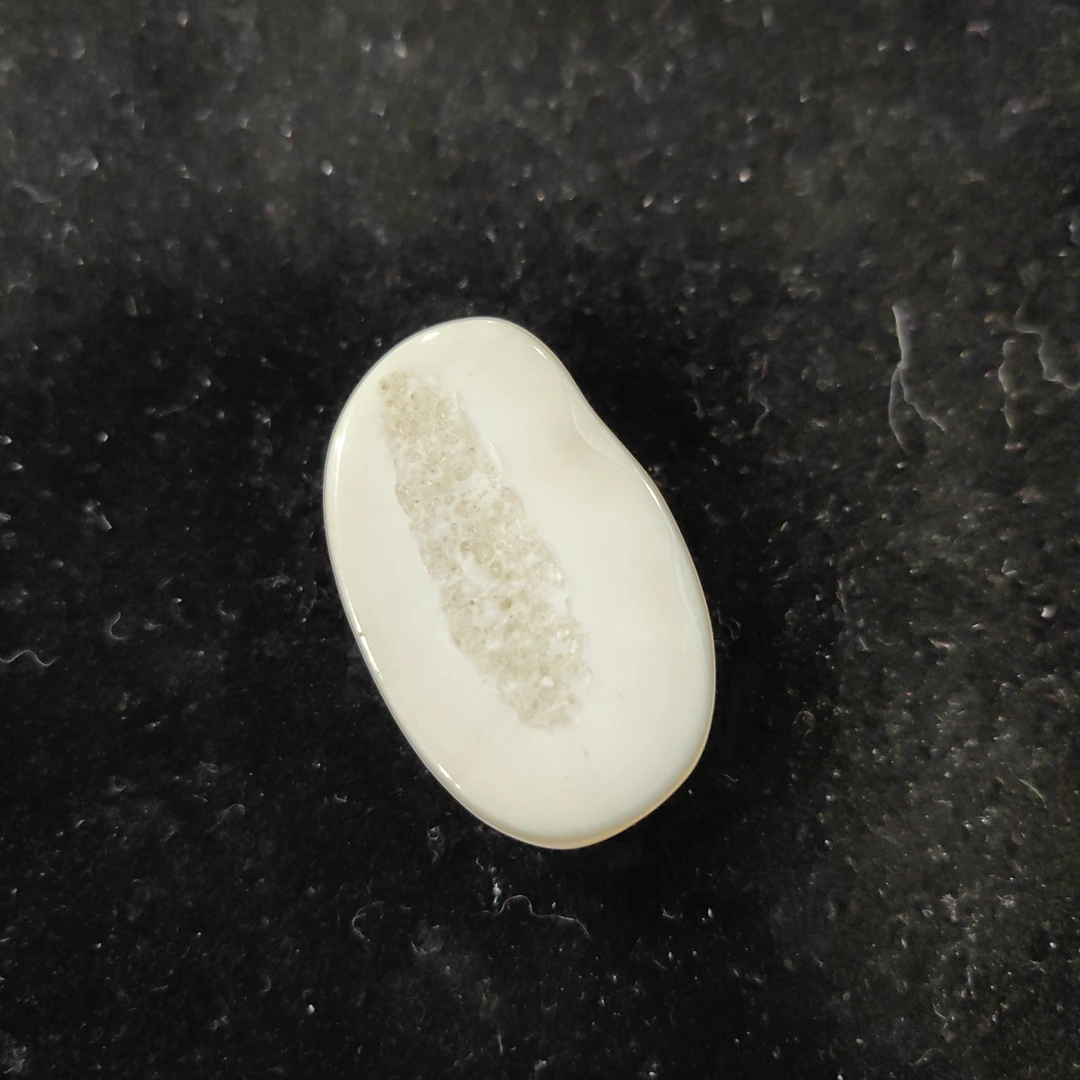 猛犸猛犸虬饼子WT373