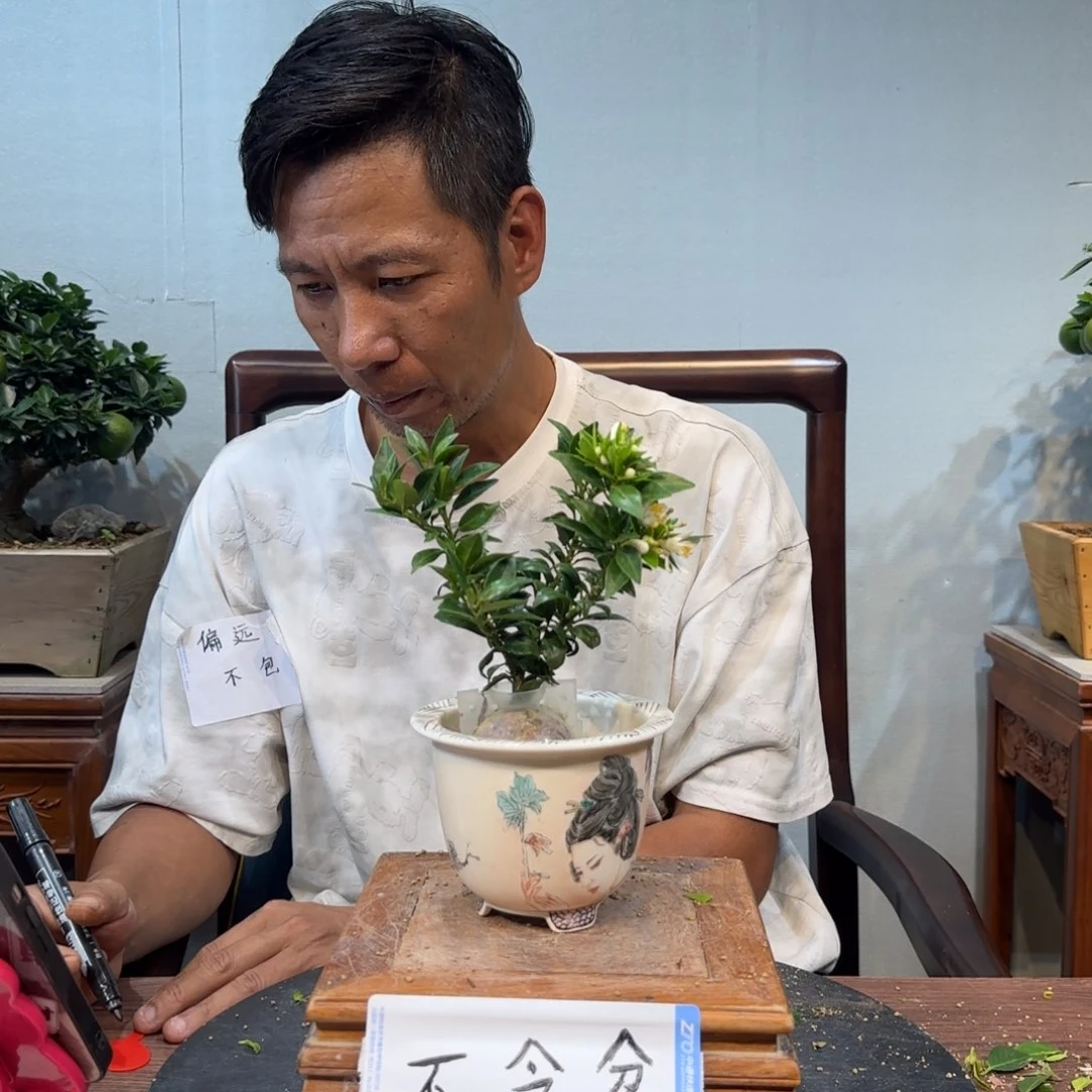 当前无花朵，栽培后可花朵路*