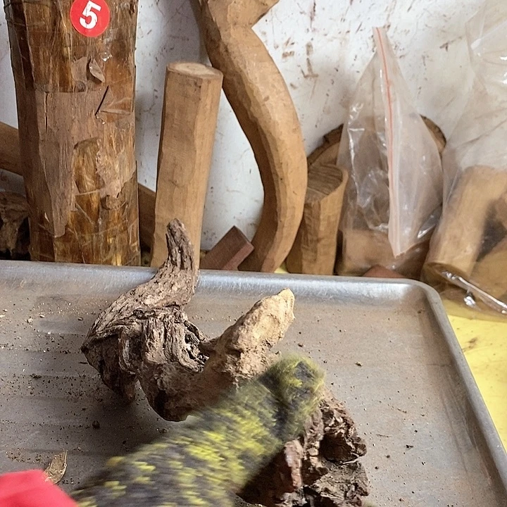 黄花梨/降香黄檀中**起