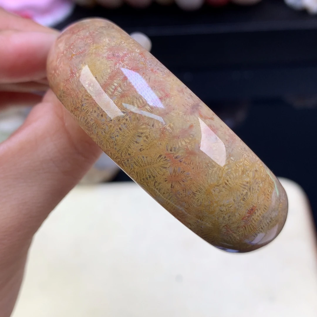 硅化珊瑚（珊瑚玉）未镶嵌吊坠(赠链)五折红彩53圈（23号）