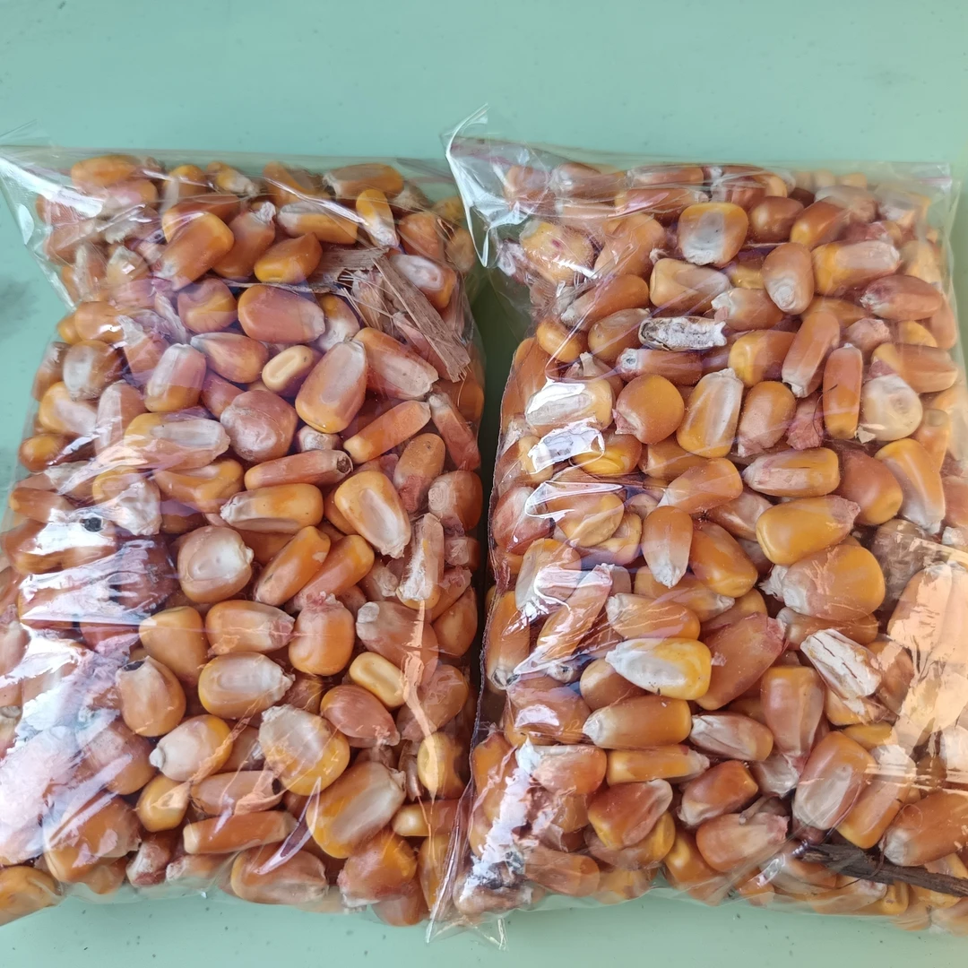 鸟食伴侣，羽毛通用，红牛爱吃