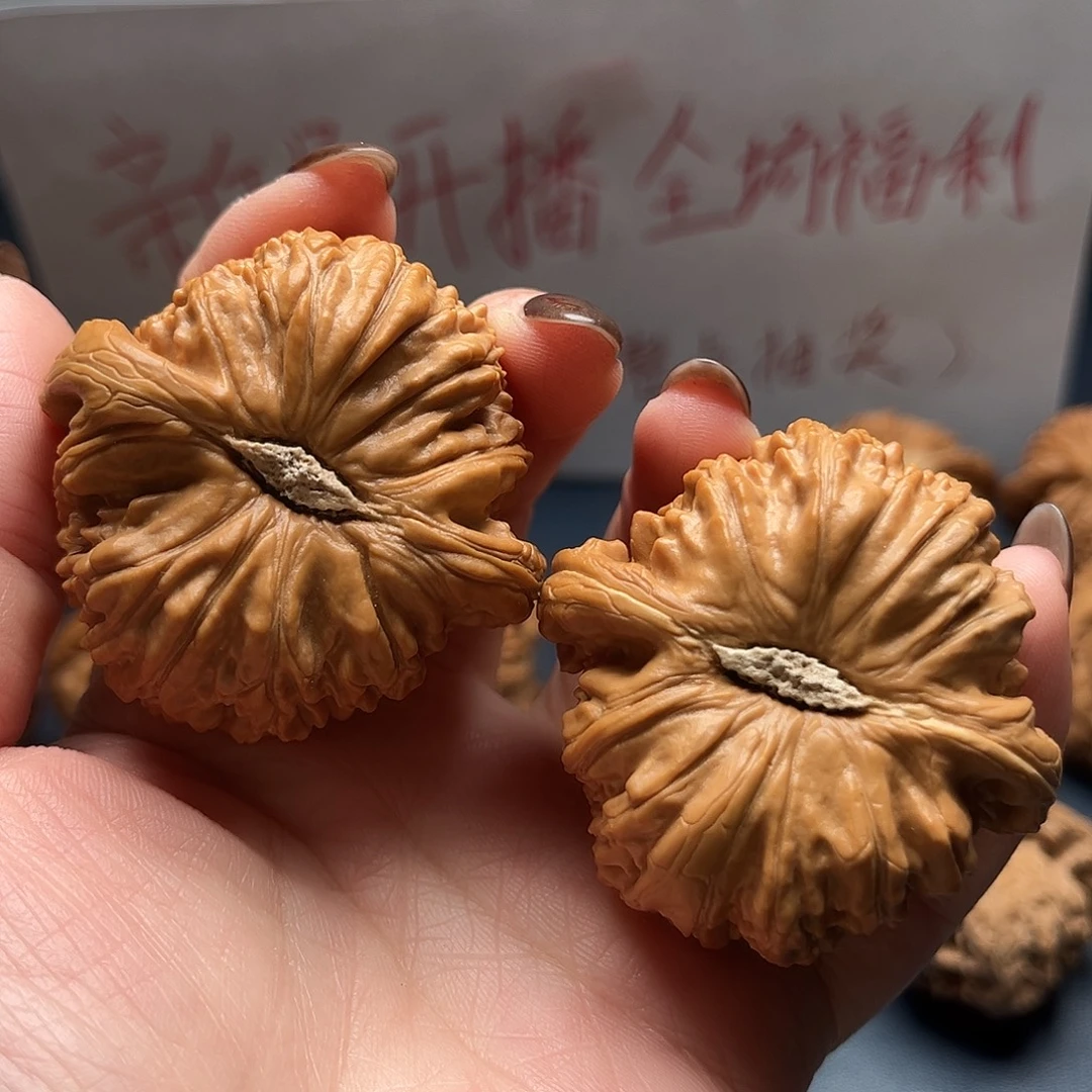 宏***哥核桃44尺寸白狮子