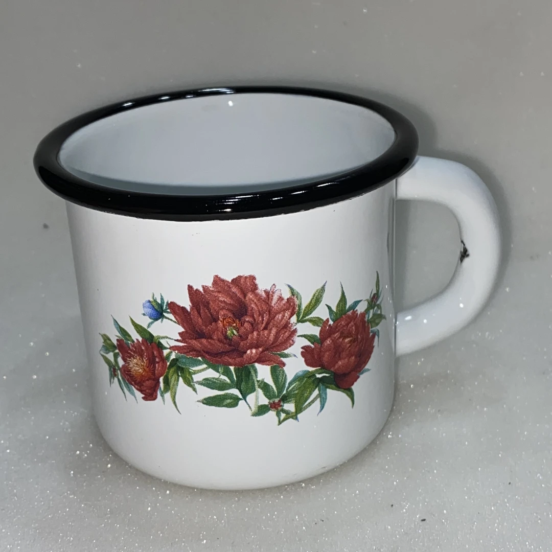 俄罗斯原装进口正品搪瓷小杯子0.25升缸子mini版加厚新款家用怀旧