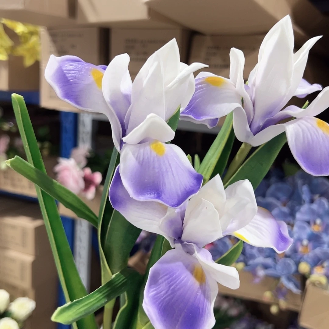 3枝紫色鸢尾花。