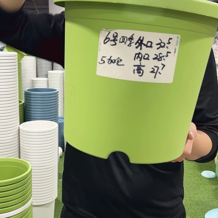 特价四季6号口32高27白色7只无托