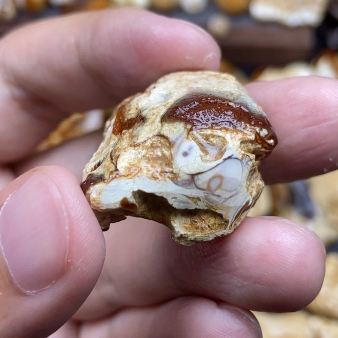 定制琥珀未镶嵌定制琥珀