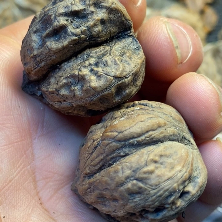 文玩核桃吊坠娜姐291