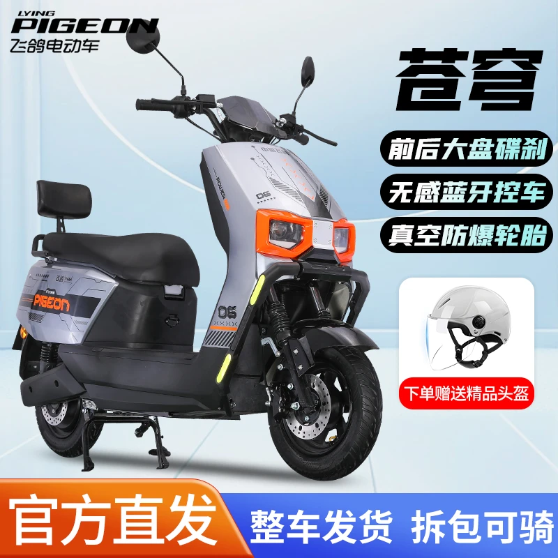 FLYING PIGEON/飞鸽飞鸽苍穹高速电动摩托车车架