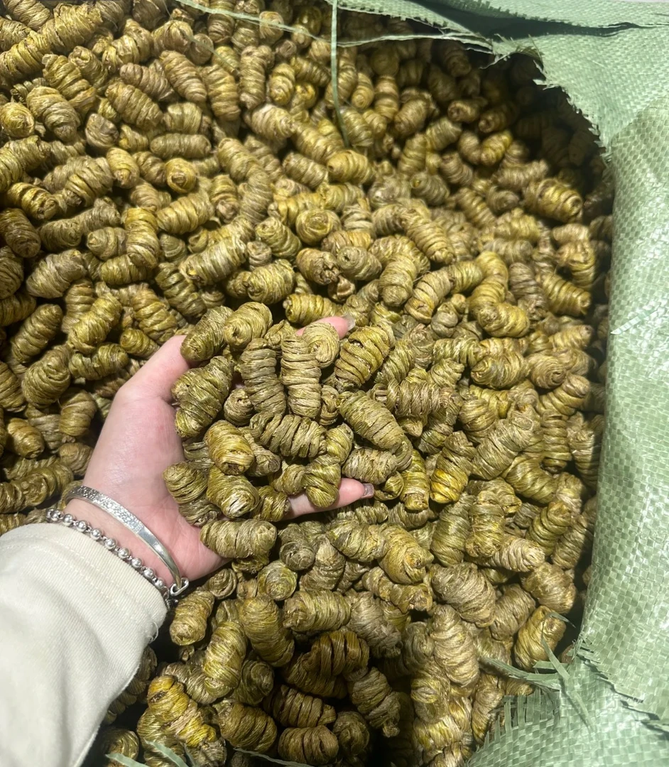 【炮姐精选】正宗新货铁皮石斛枫斗胶质饱满高品质