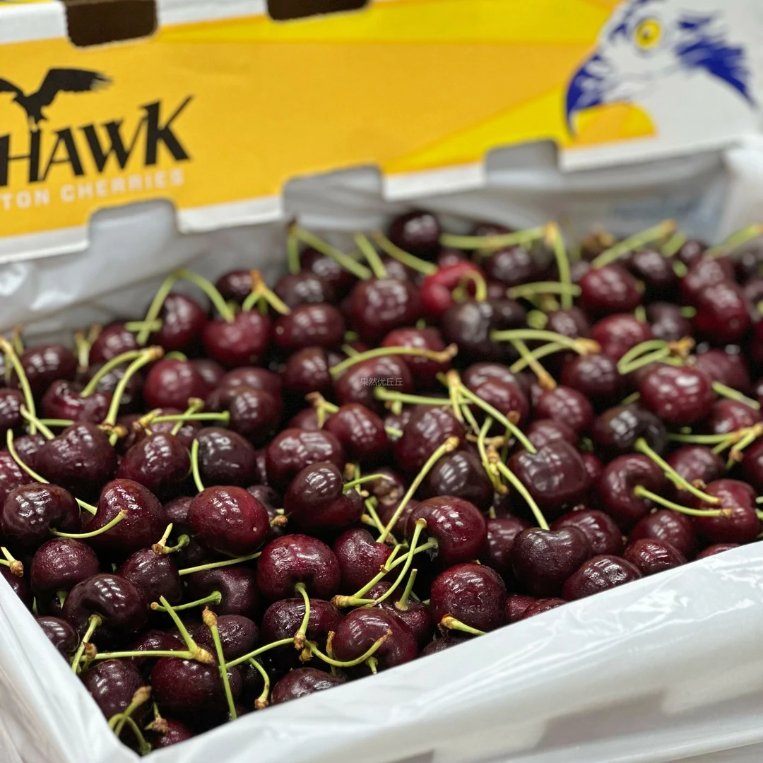 美国进口SKEENA车厘子 9R 当季新鲜车厘子脆甜风味浓郁