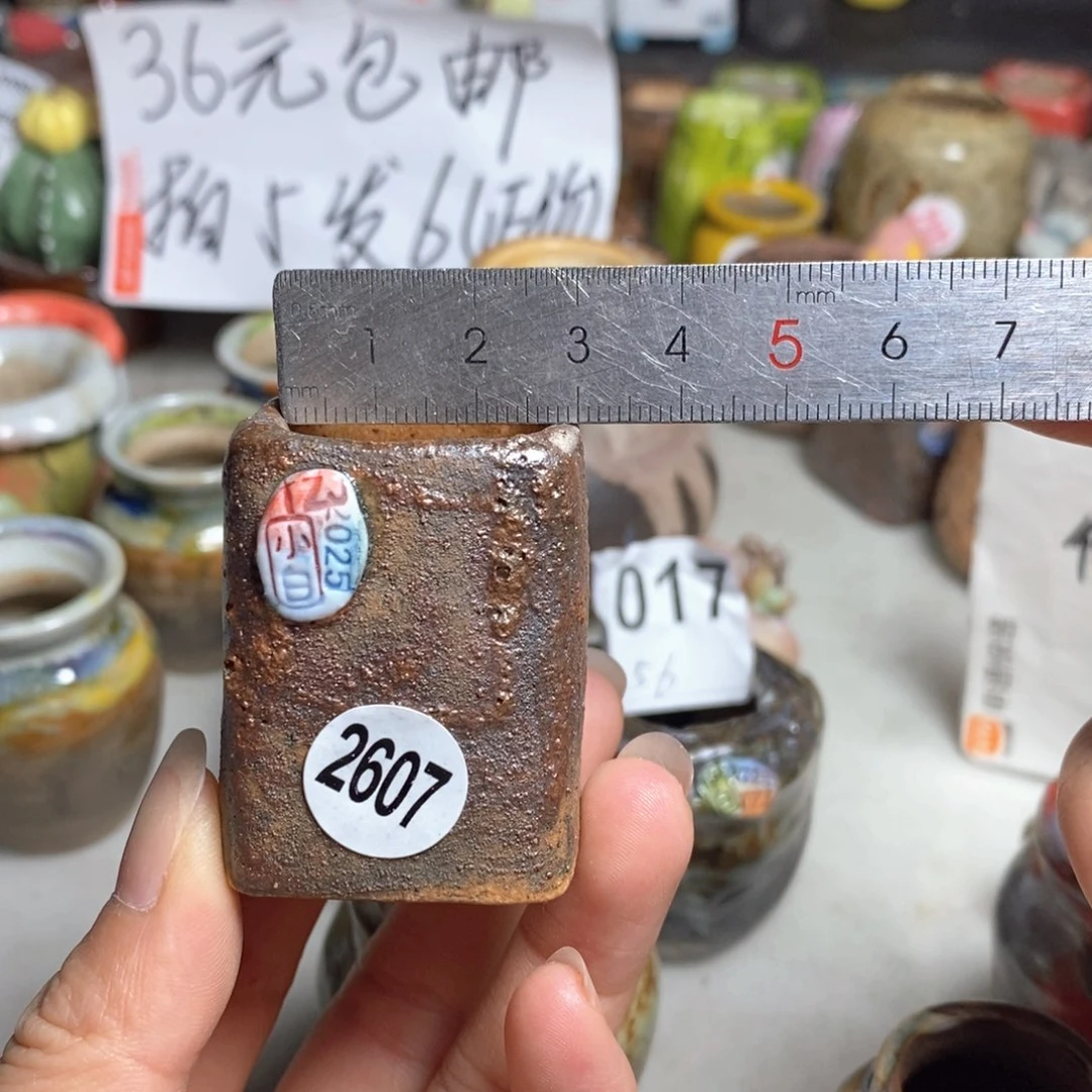 拍5送一个小礼物