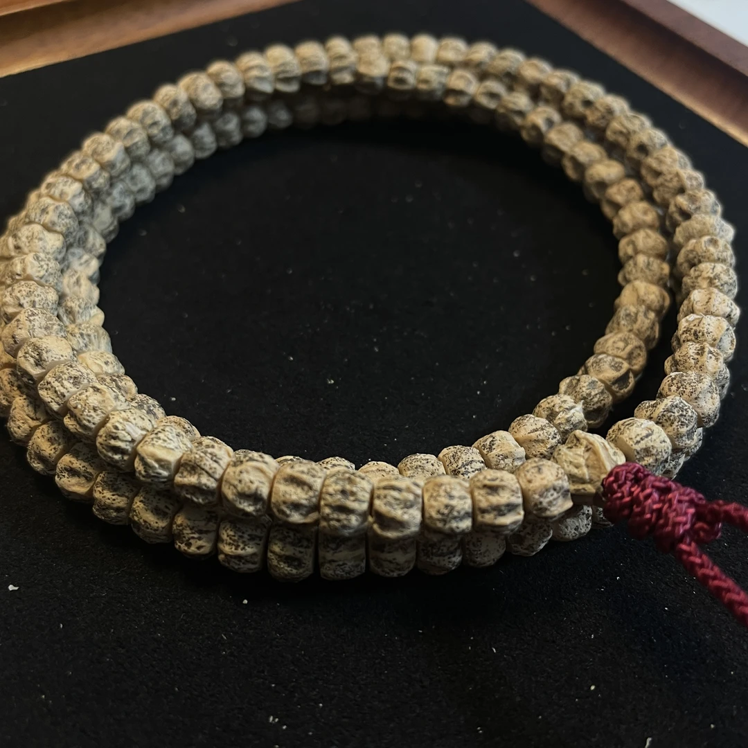 热振柏香籽脏直切深坑多楞