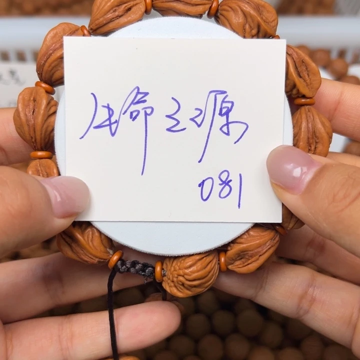 木质类秦岭龙纹桃核生命之源