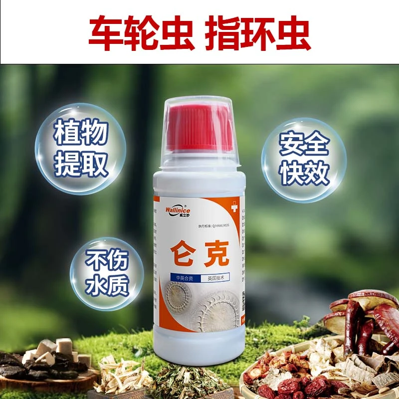 仑克灭车轮虫斜管虫鱼打转调水寄生虫纯植物提取鱼塘广谱高效无毒