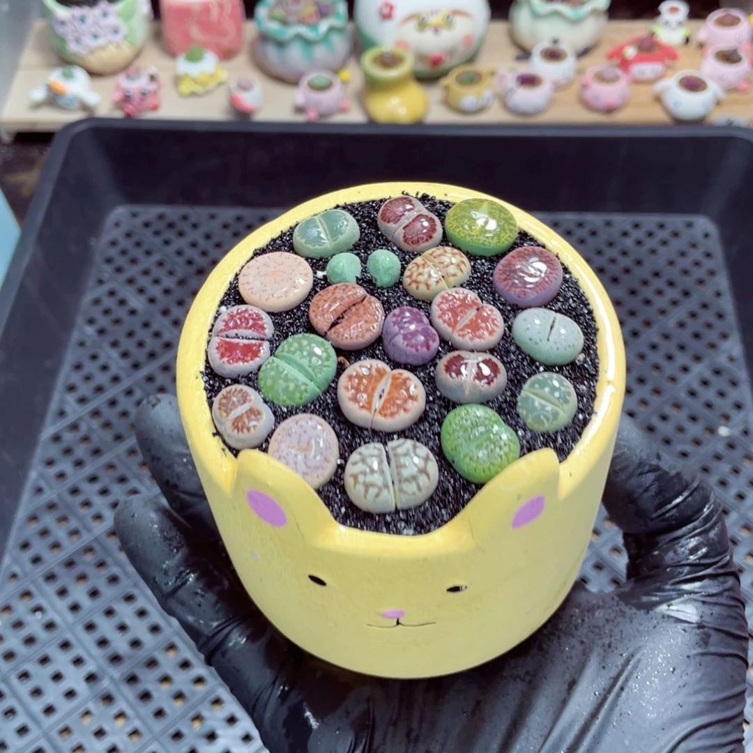 夜间零下地区拍保温箱w1609