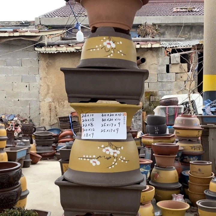 红陶这样我也可以去