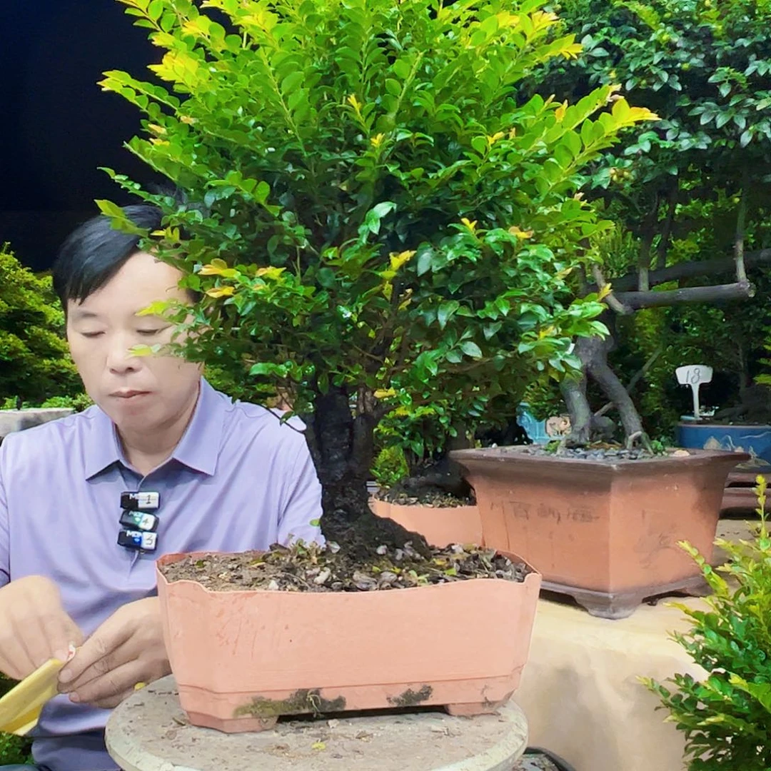 无花朵一***。13345678