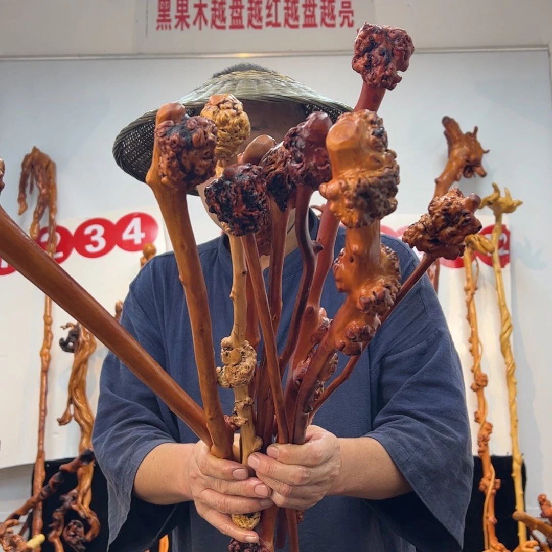 黑果木其他黑果木747
