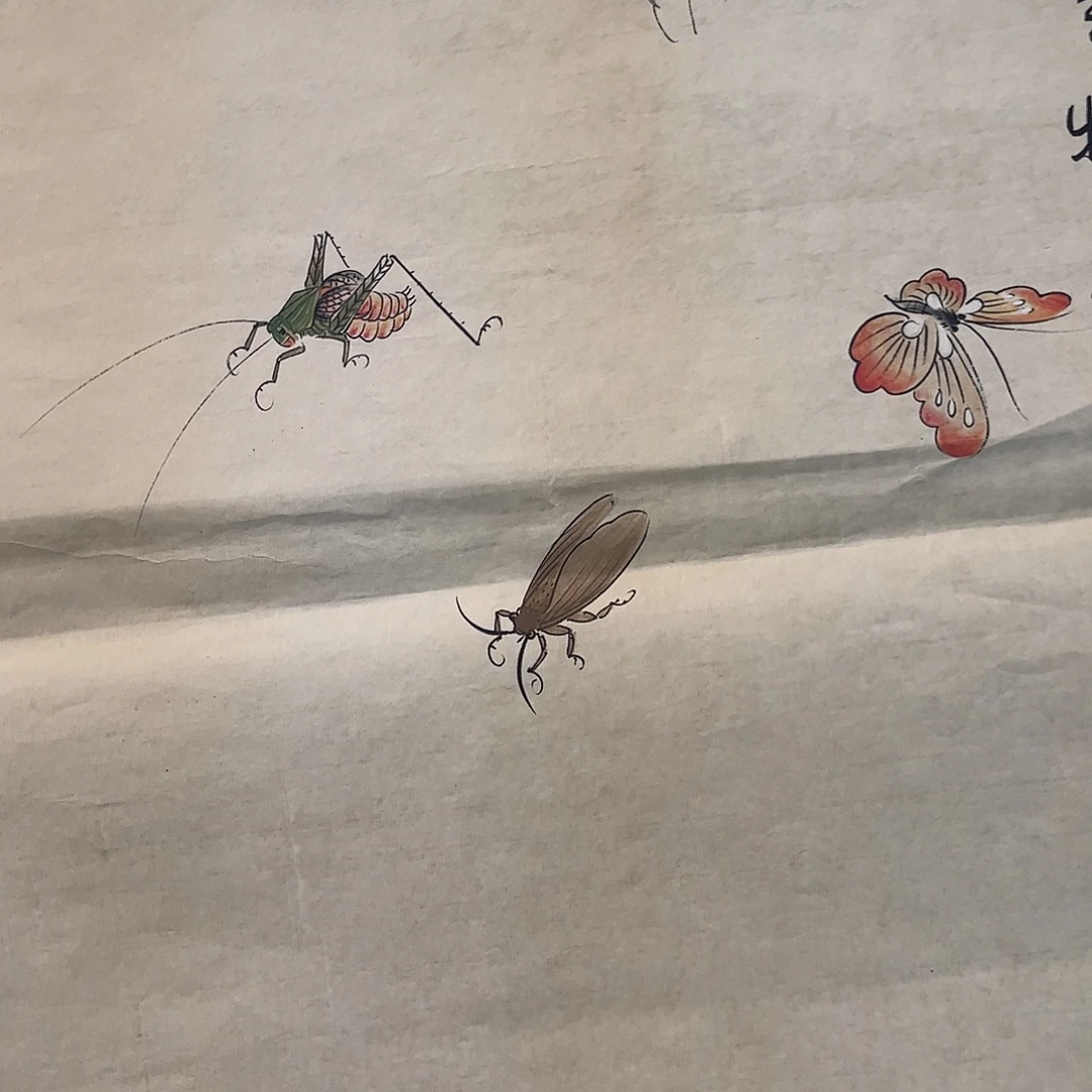 横款嘉恩艺术甄选