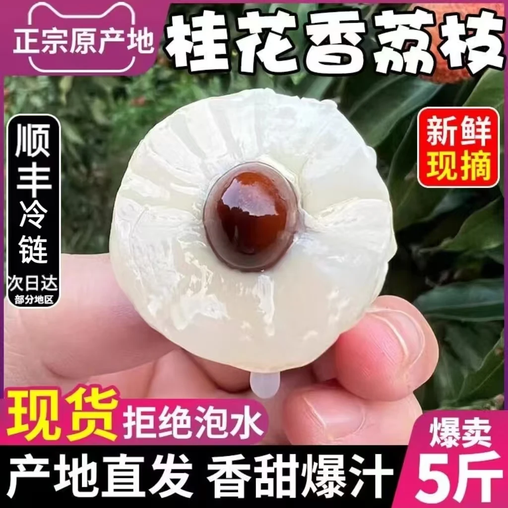 桂花香荔枝5斤带箱顺丰冷链包邮清甜多汁肉厚核小当季水果