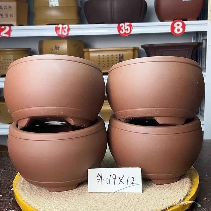 花盆紫砂你在一起