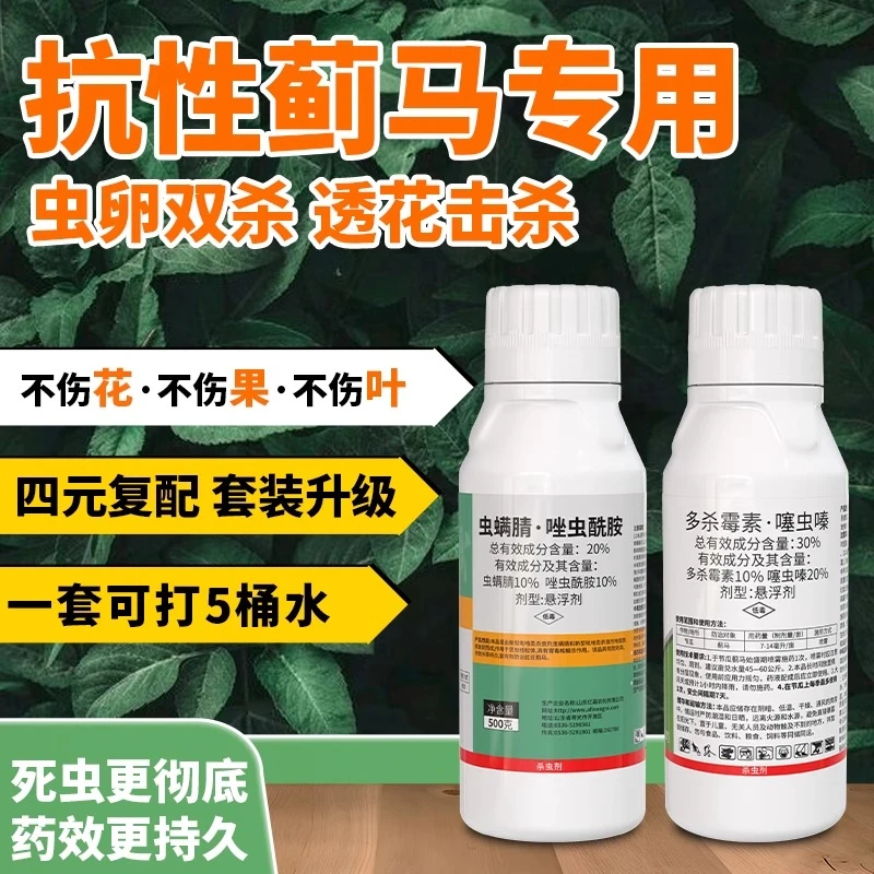 蓟马效特专用药虫卵双杀果树茄子辣椒多杀霉素唑虫酰胺豆角杀虫剂