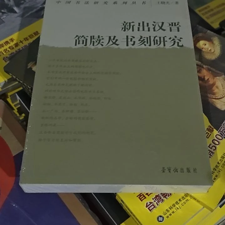 新出汉晋简牍及书刻研究平装