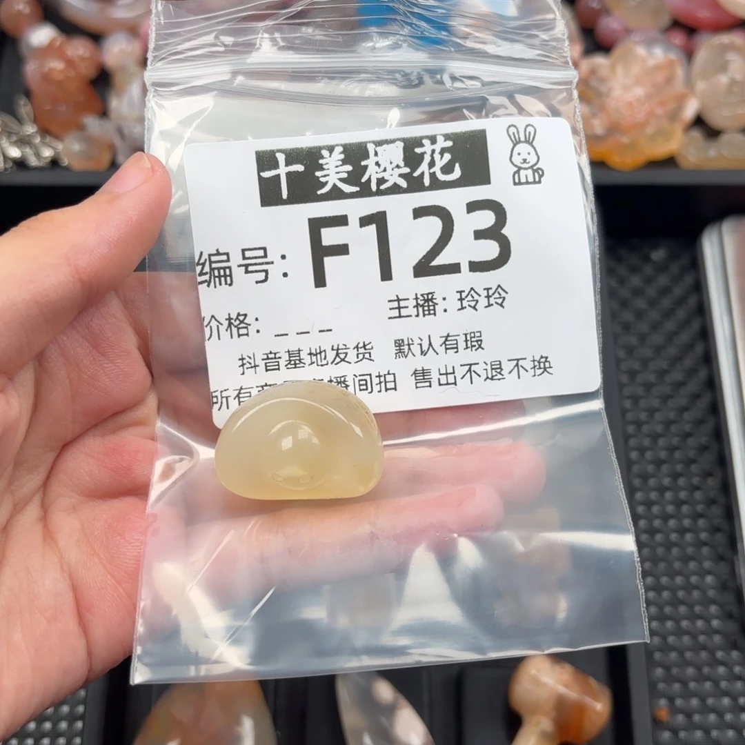 玛瑙/玉髓颈饰未镶嵌苗