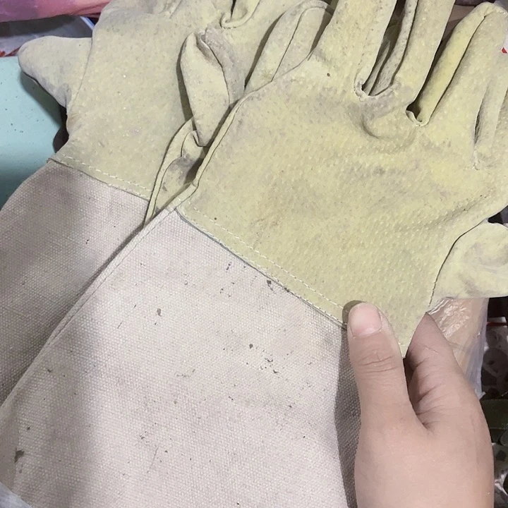 核桃木/黑胡桃（胡桃木）龙***一