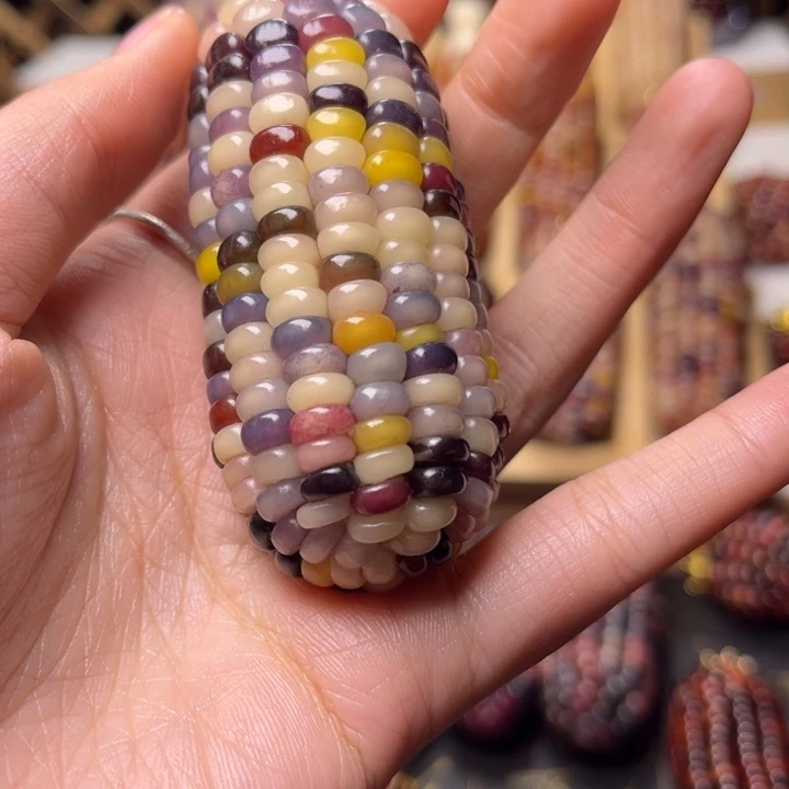 文玩玉米顺直浅色