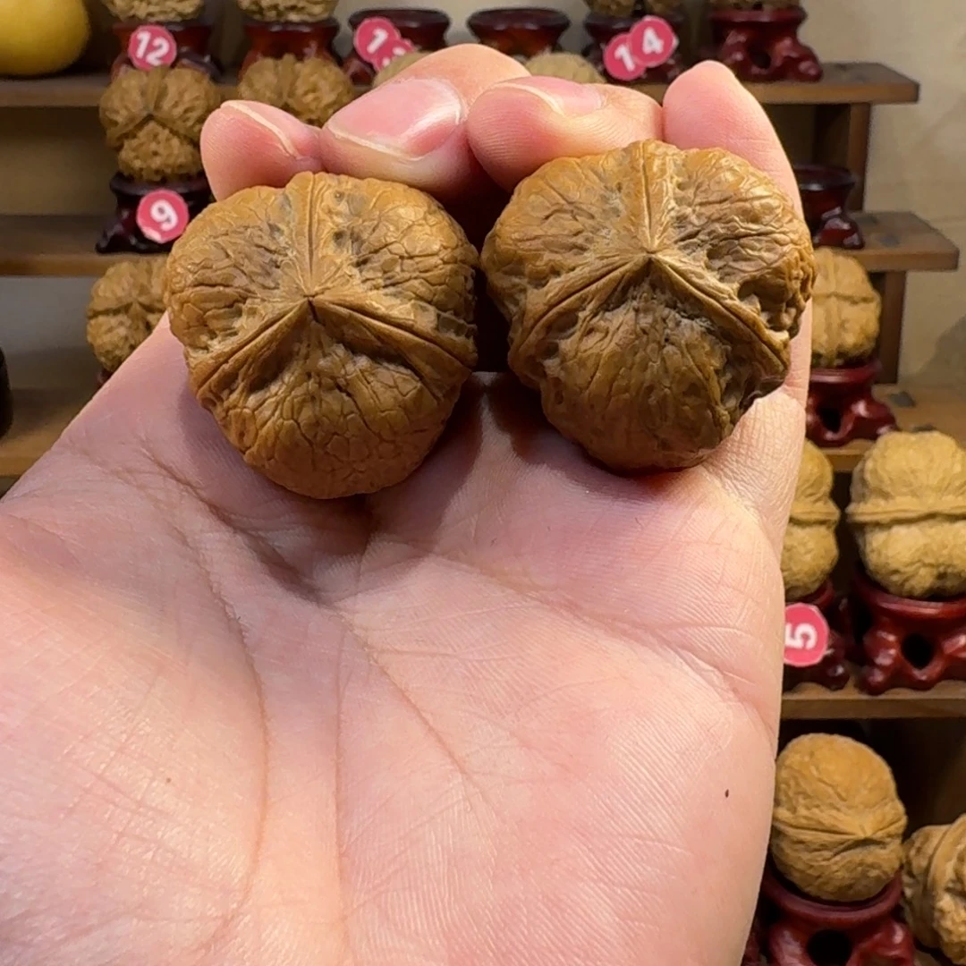 铁核桃把件老树籽 龙龟甲三棱奔驰