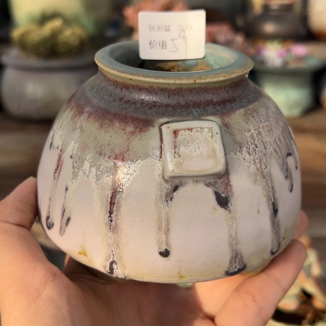 1987花盆玩家盆039