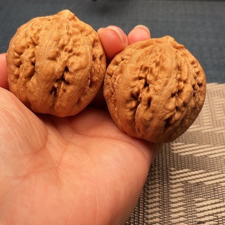 黛***竹霸王龙文玩核桃43