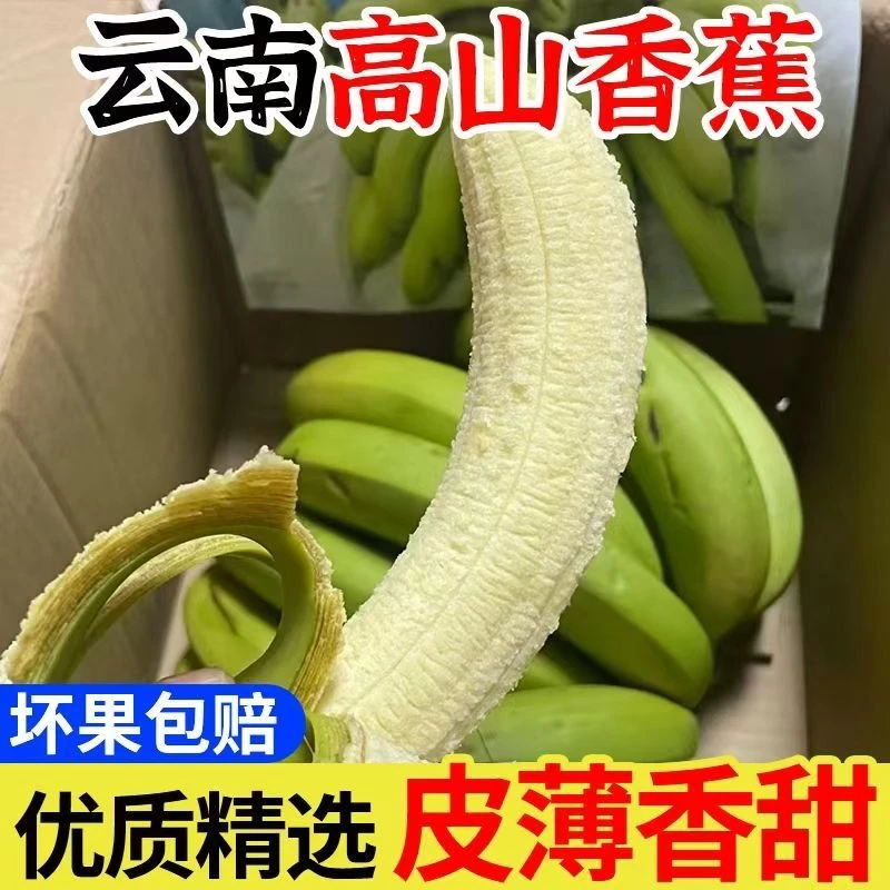 云南高山生态绿皮甜香蕉丑香蕉当季水果自然熟 现摘
